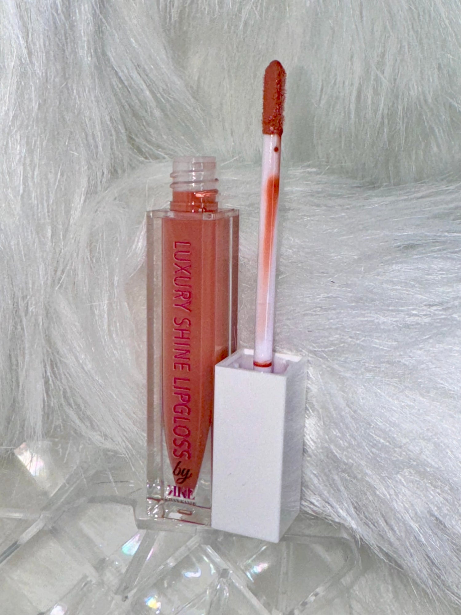 EXQUISITE SHINE LIPGLOSS