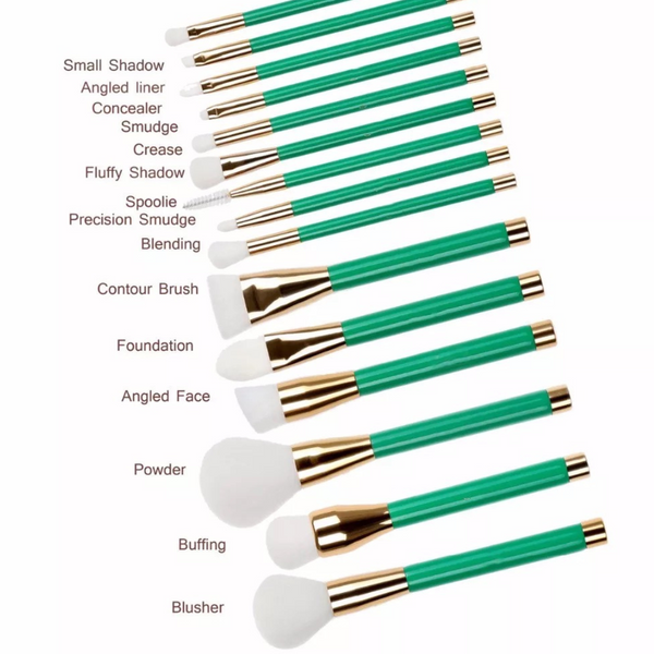 WEALTHY ENERGY MAKEUP BRUSH SET